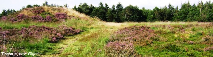 tinghc3b8jec3b8lgod[1]