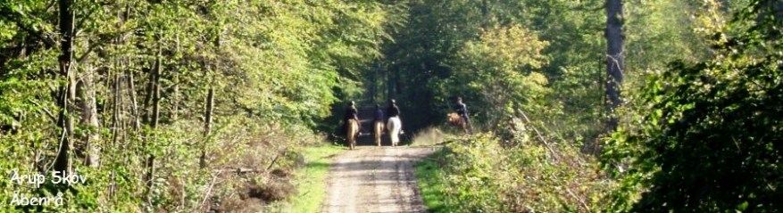 cropped-c3a5benrc3a5