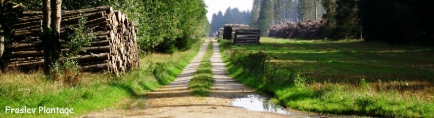 cropped-frc3b8slevplantage1