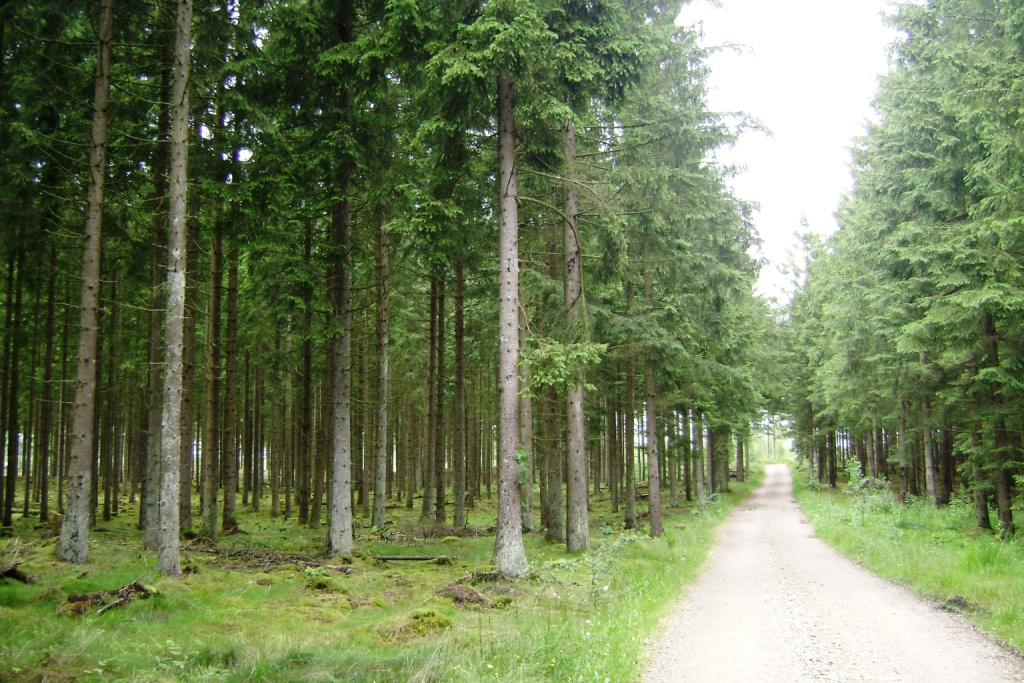 Funder Kirkeby-Thorning (160). – Jyske Vandreture