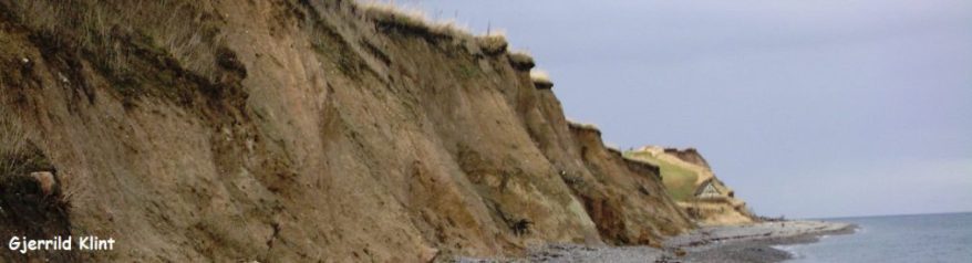 cropped-gjerrildklinttx.jpg
