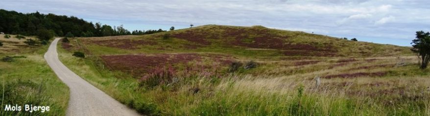 cropped-molsbjergetx.jpg