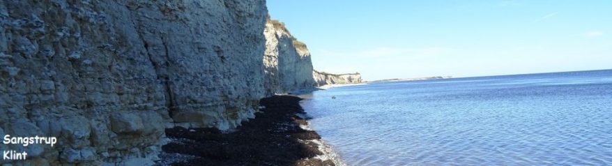 cropped-sangildklinttx.jpg