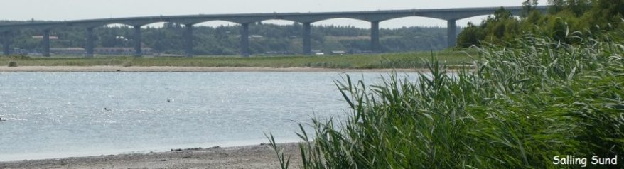cropped-sallingsund_txt.jpg