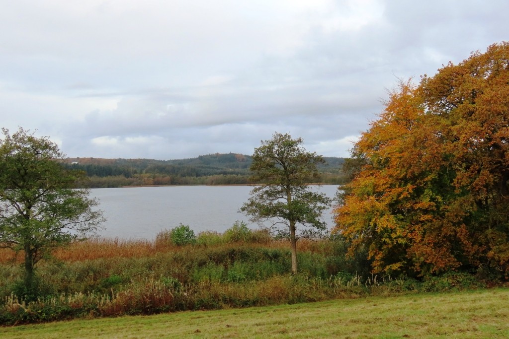Efterårstur nord om Søerne (545) – Jyske Vandreture